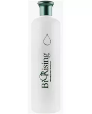 Orising Biorising Perm №1