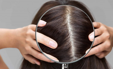 Aliquam hendrerit mi metus